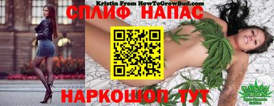 эйфоретик Кимры