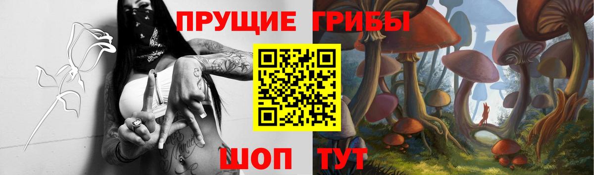 Коркино  Галлюциногенные грибы прущие грибы  как найти наркотики  Галлюциногенные грибы GOLDEN TEACHER  Вход с VPN 